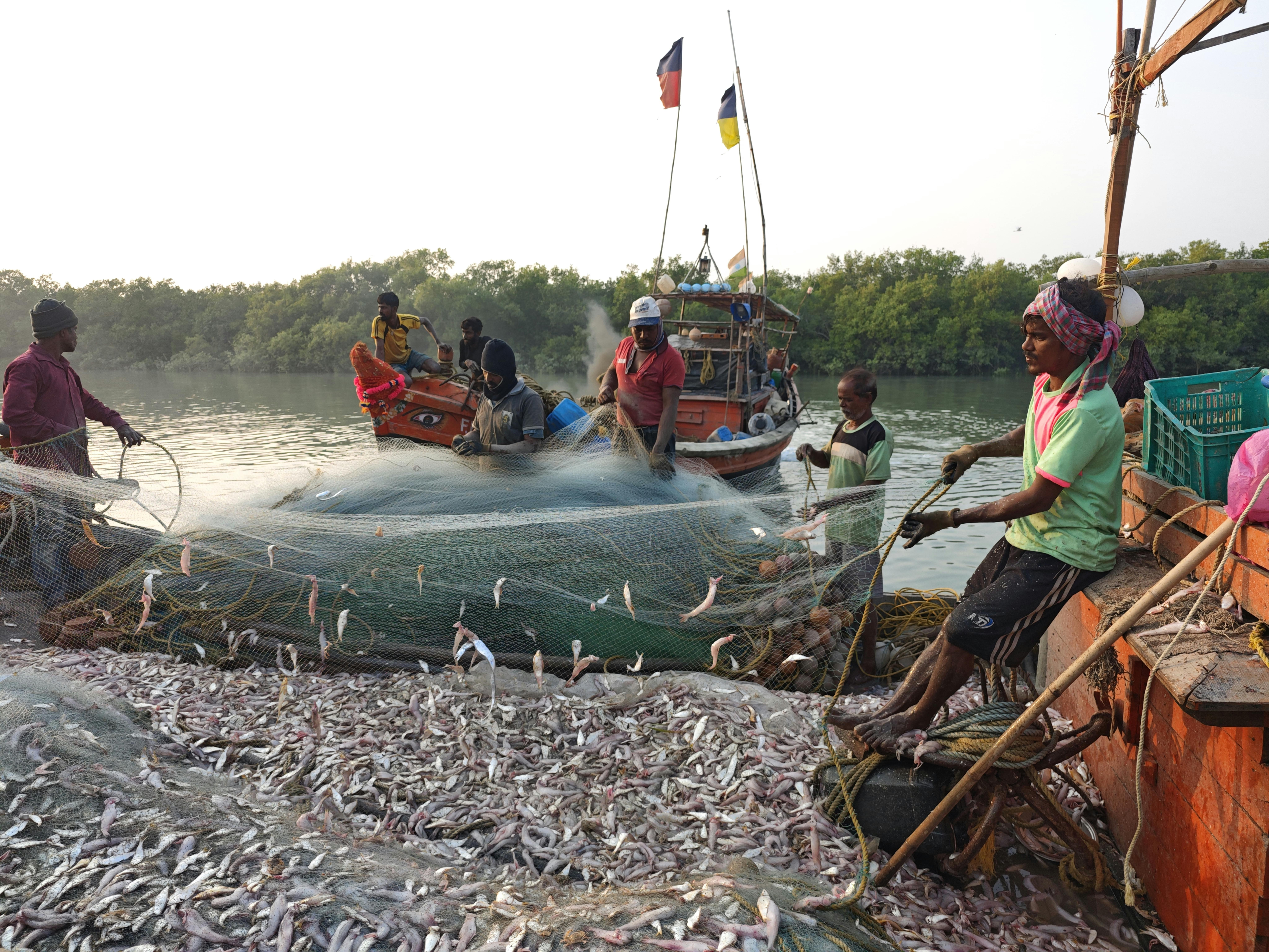 Effective Sustainable Marketing Campaigns to Boost Your Brand