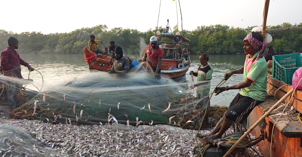 勞保撥補法制化:朝野政治盤算下的全民負擔