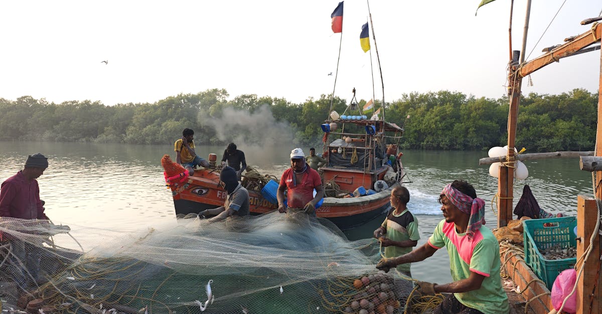 勞保撥補法制化:朝野政治盤算下的全民負擔