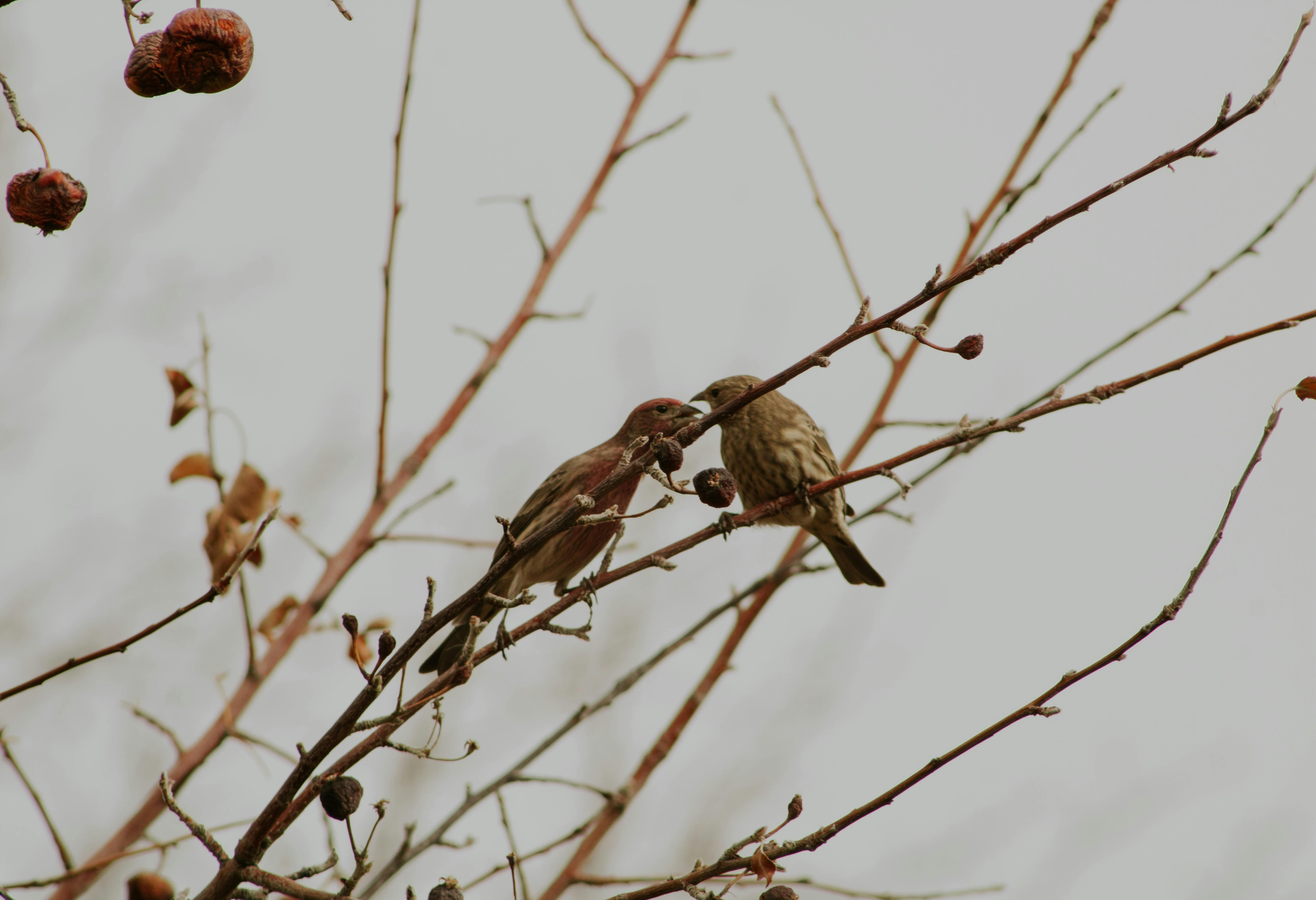 What You Need to Know About the Highly Contagious Winter Bug Outbreak in the UK
