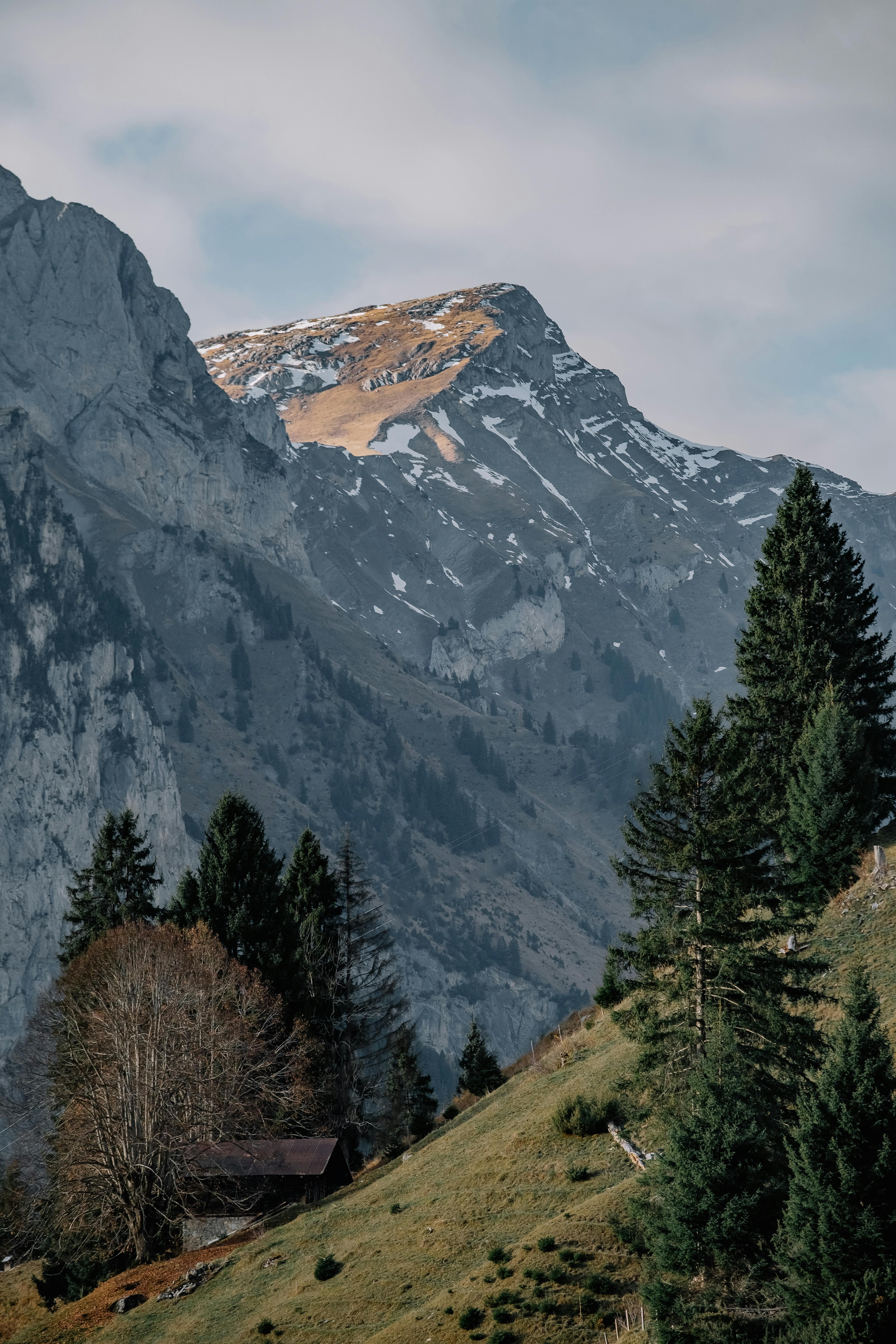 Fan Theories Explored: What Do Viewers Predict for Ludwig Season 2’s Dramatic Comebacks and Clashes?