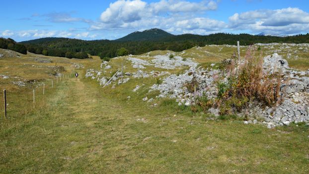 A picturesque trail in Bouvante, Auvergne-Rhône-Alpes, France surrounded by nature.