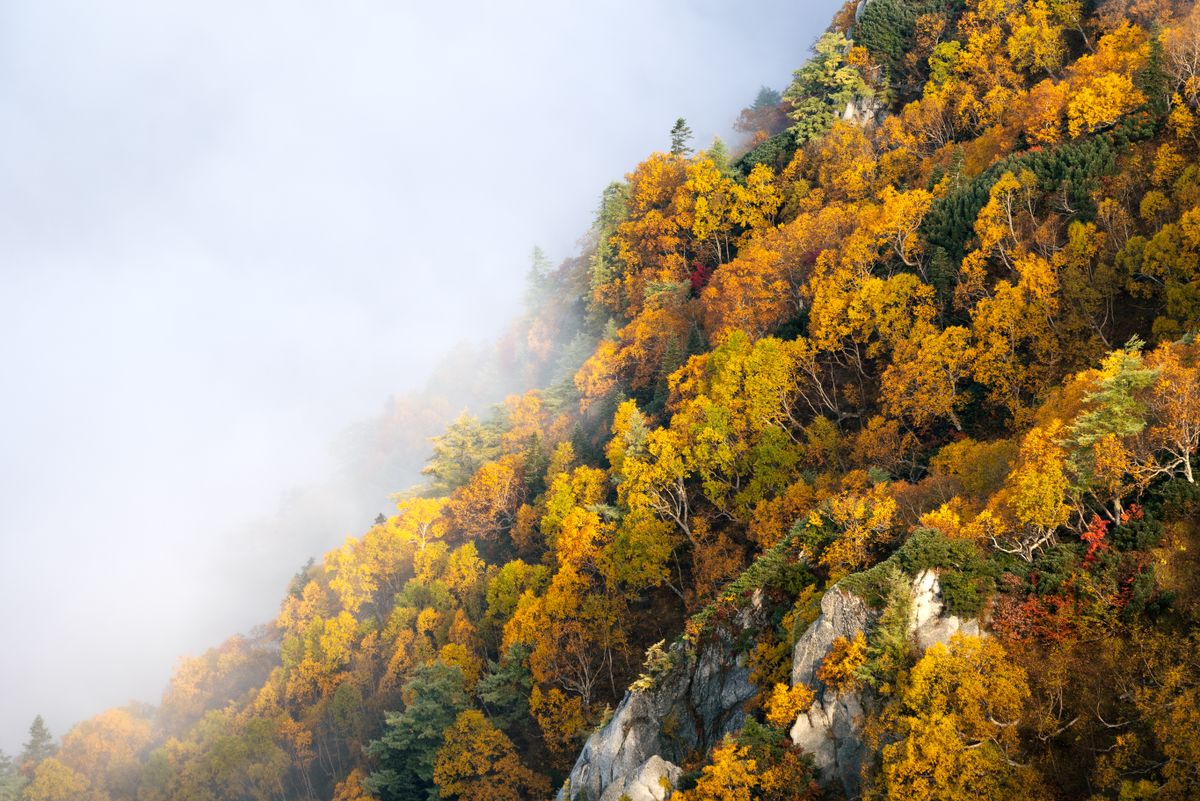 定山渓の紅葉イメージ