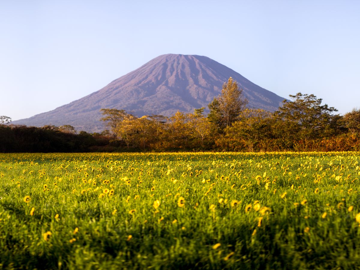 8 Day Relax & Rejuvenate & Detox Yoga Retreat in Nicaragua 3