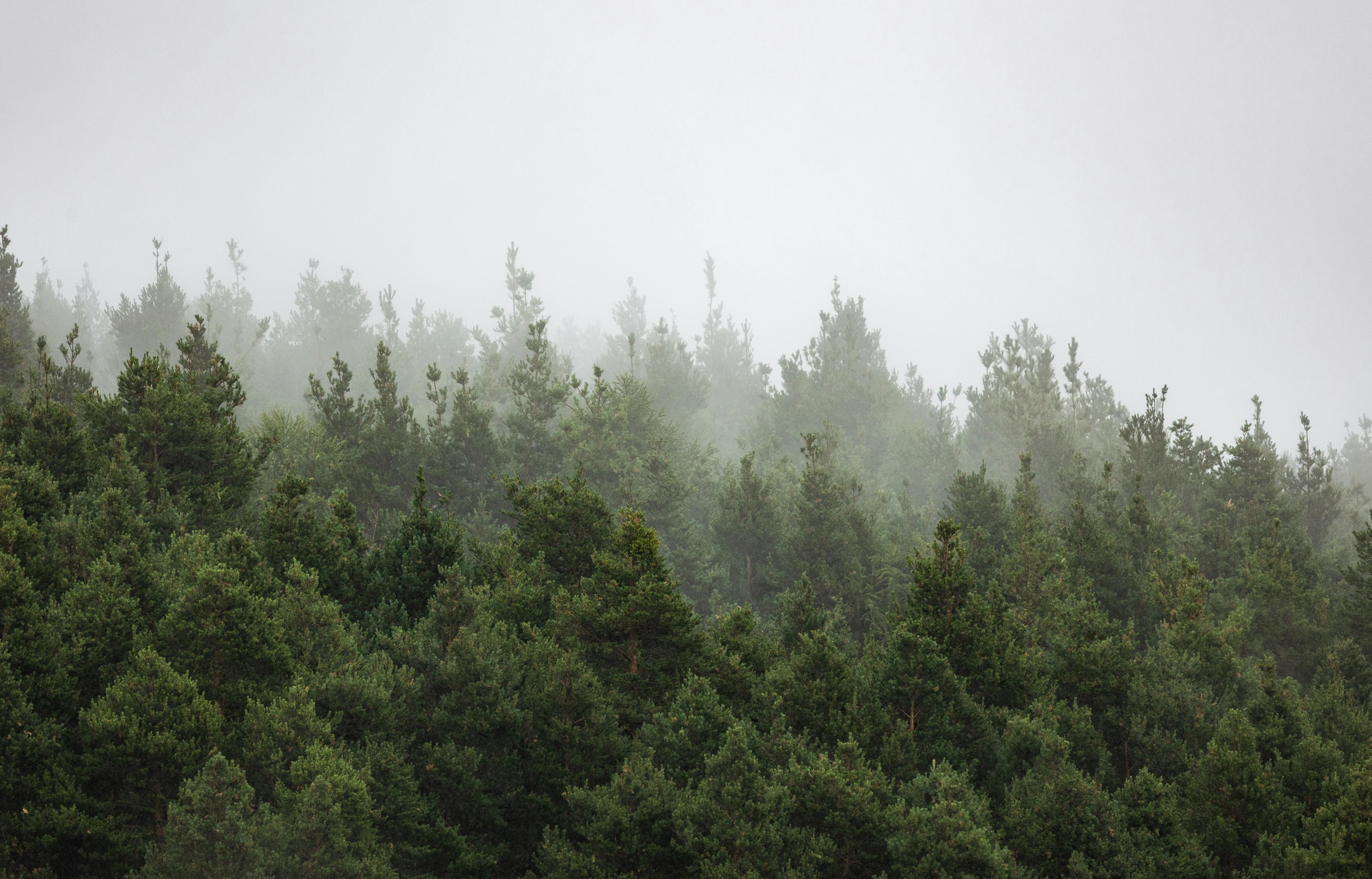 Breathing hard in bad air: The hidden cost of outdoor fitness — Photo by Marek Piwnicki on Pexels