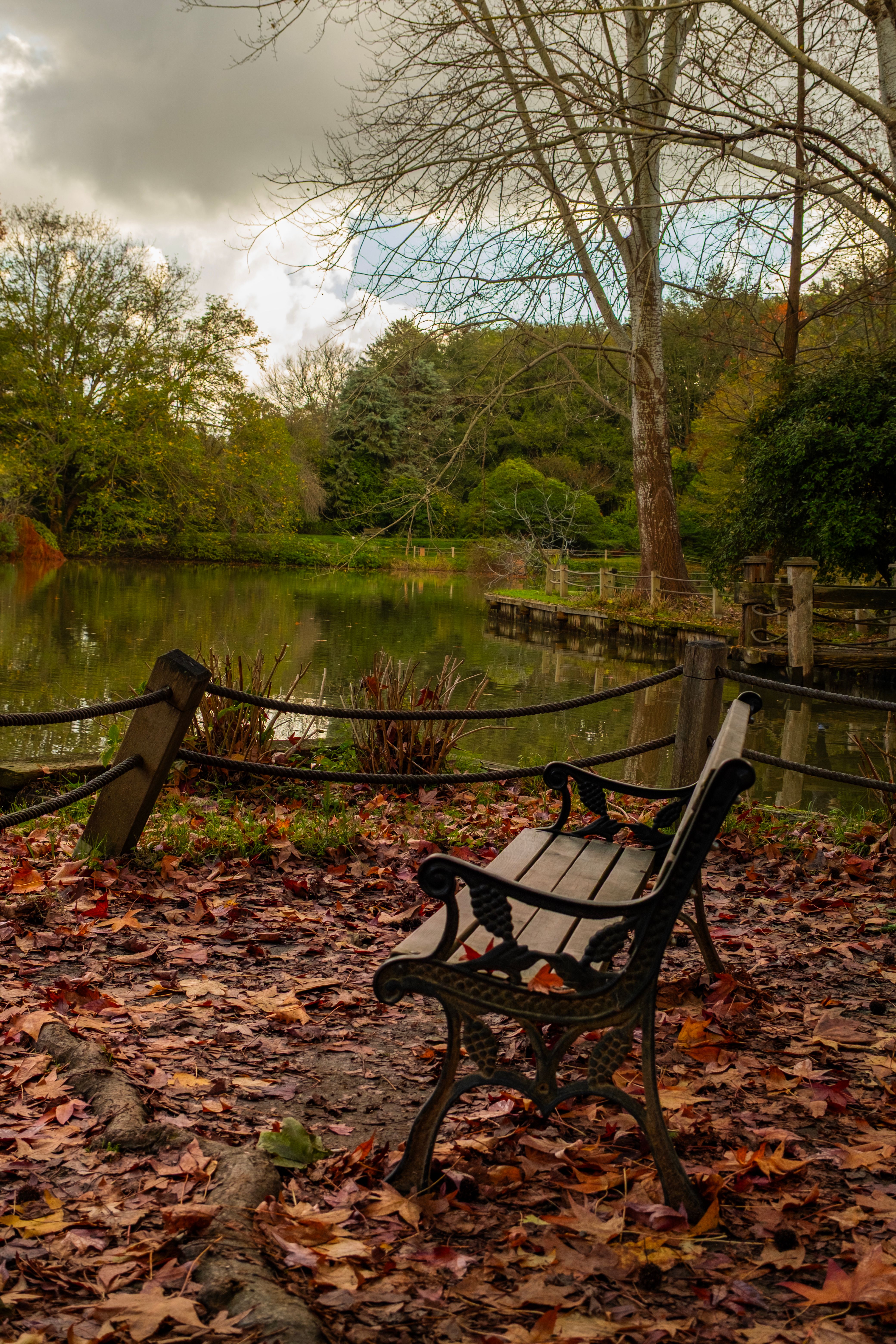 Serene Autumn Lake View with Empty Park Bench · Free Stock Photo