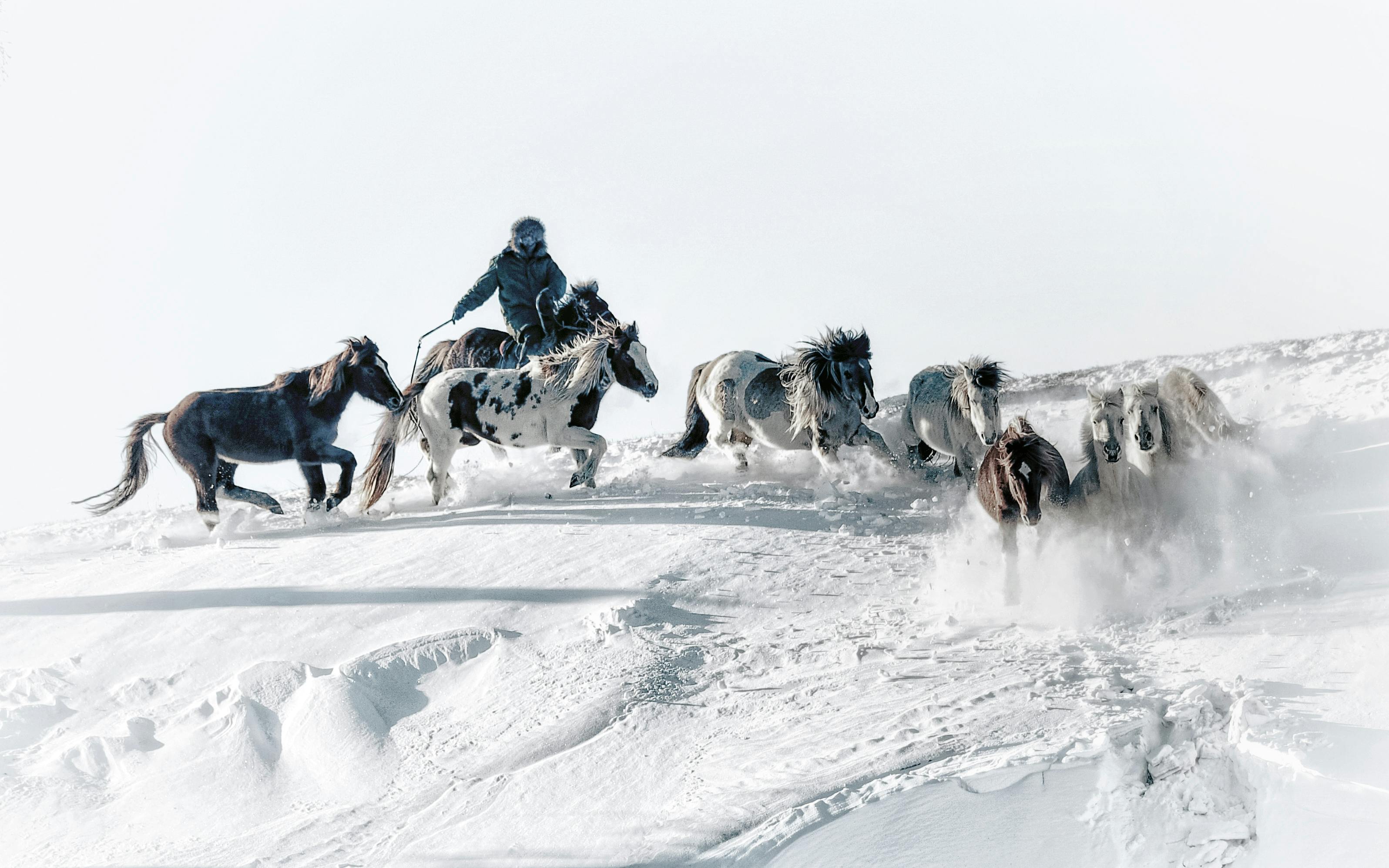 A Mongolian herder leading horses through a snowy landscape in Inner Mongolia, China.