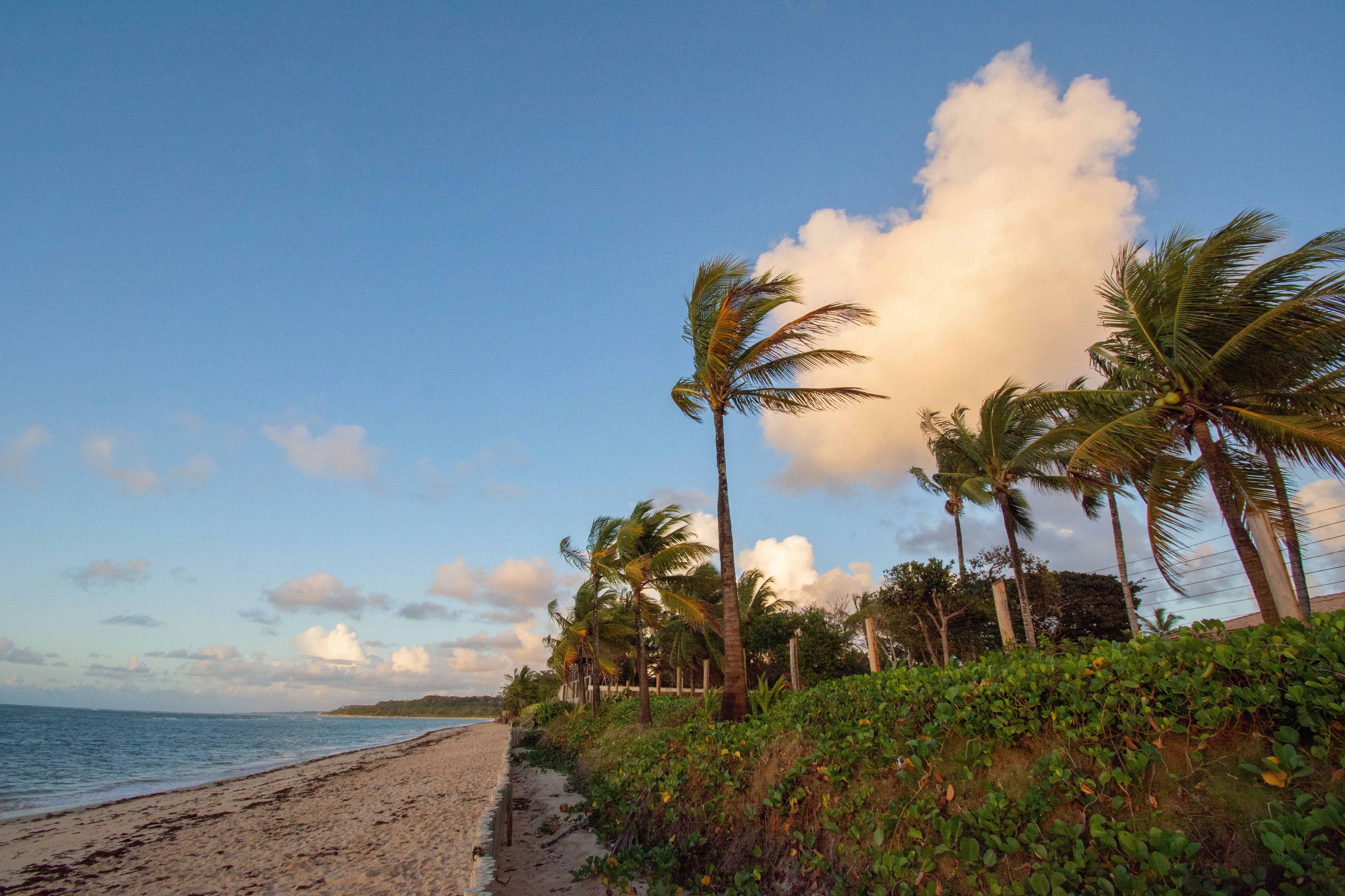 Bahian Coast Photos, Download The BEST Free Bahian Coast Stock Photos ...