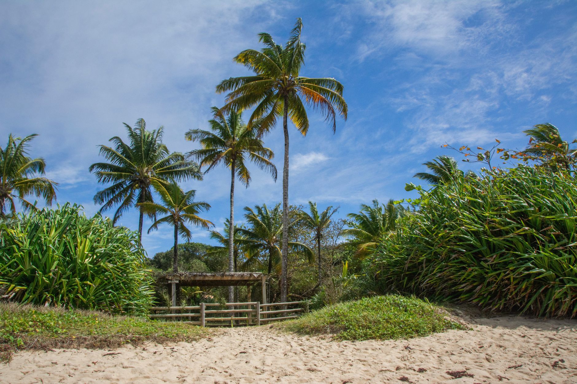 Airport transfers in Porto Seguro Airport transfers in Porto Seguro