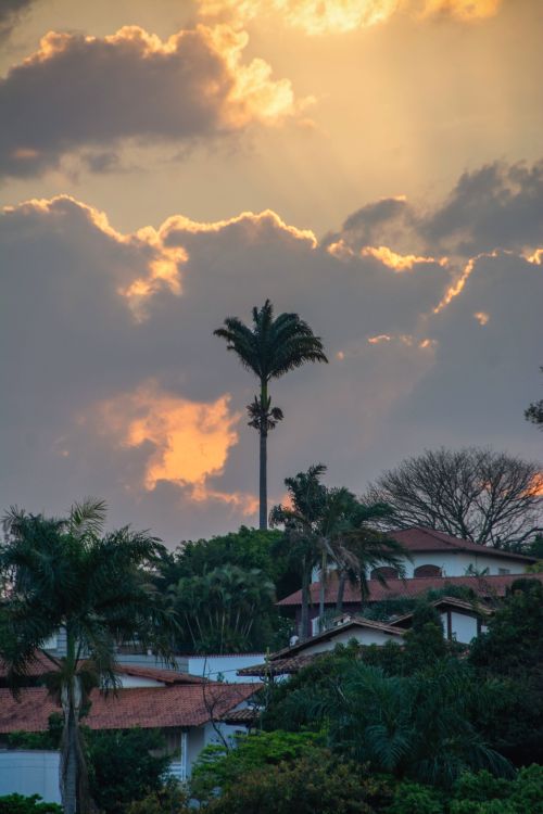 Free Beautiful sunset over vibrant tropical landscape in Minas Gerais, Brazil. Stock Photo