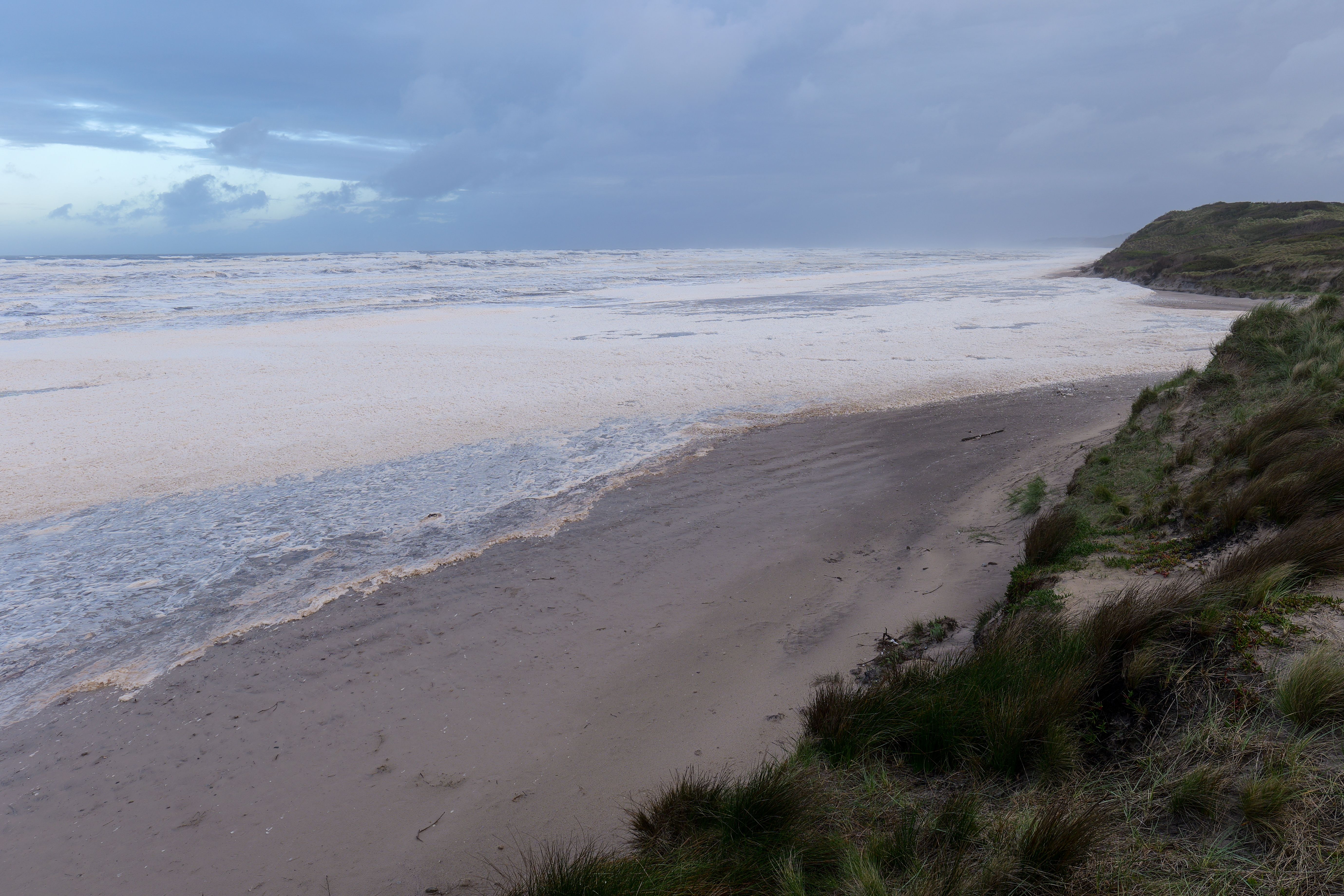 climate resilience sea level rise — Photo by Mark Direen on Pexels