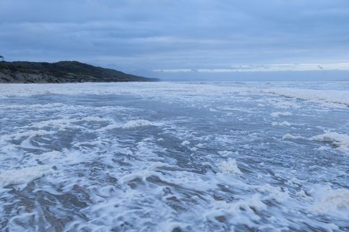 Free Relaxing scene of a foamy beach under a cloudy sky in Tasmania. Stock Photo