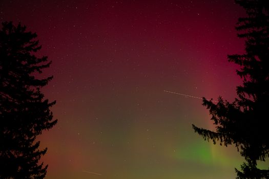 Capture of vibrant aurora borealis with a starry night sky over silhouetted trees.