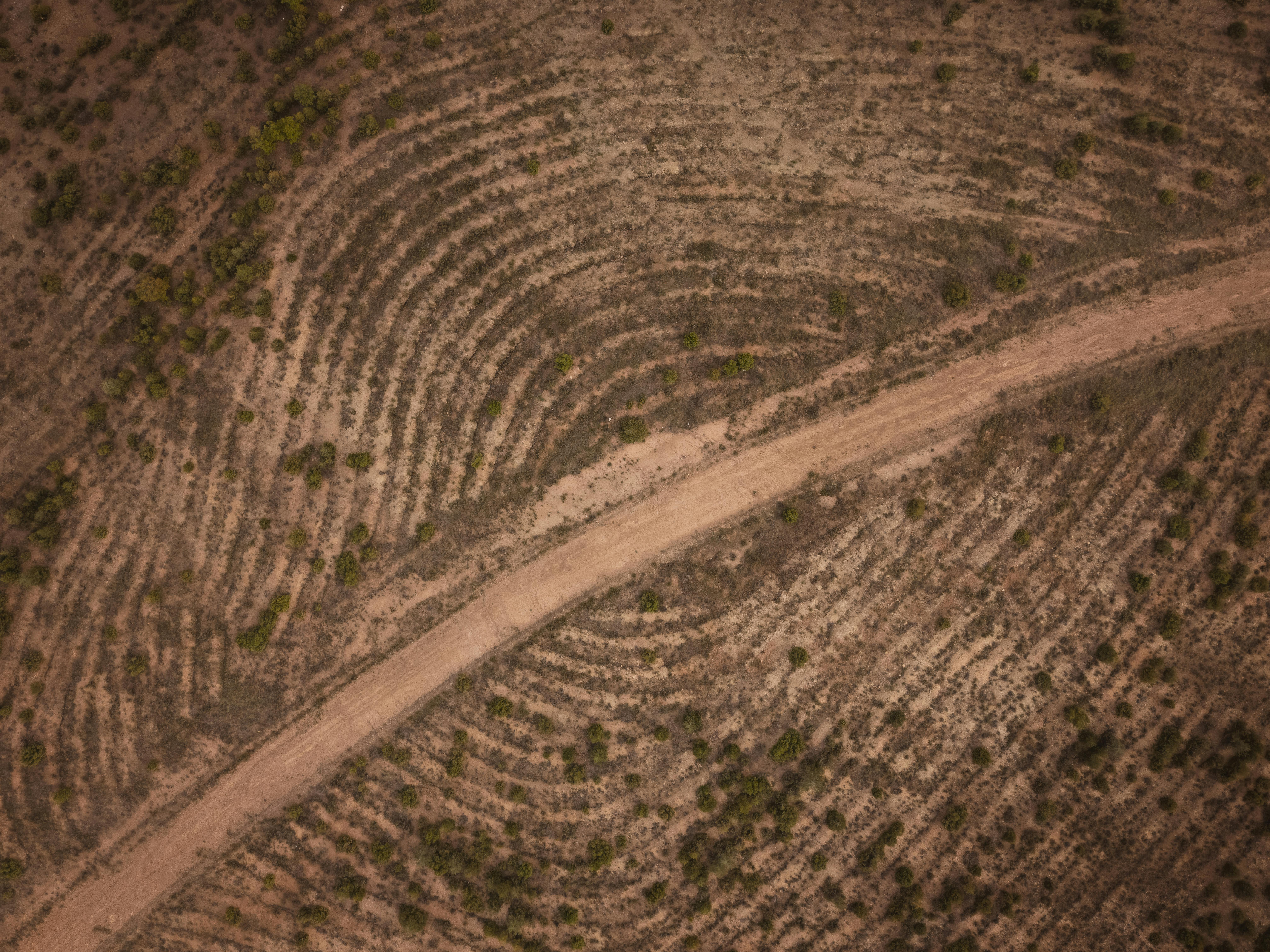 climate resilience drought mitigation — Photo by Ahmet Yüksek ✪ on Pexels