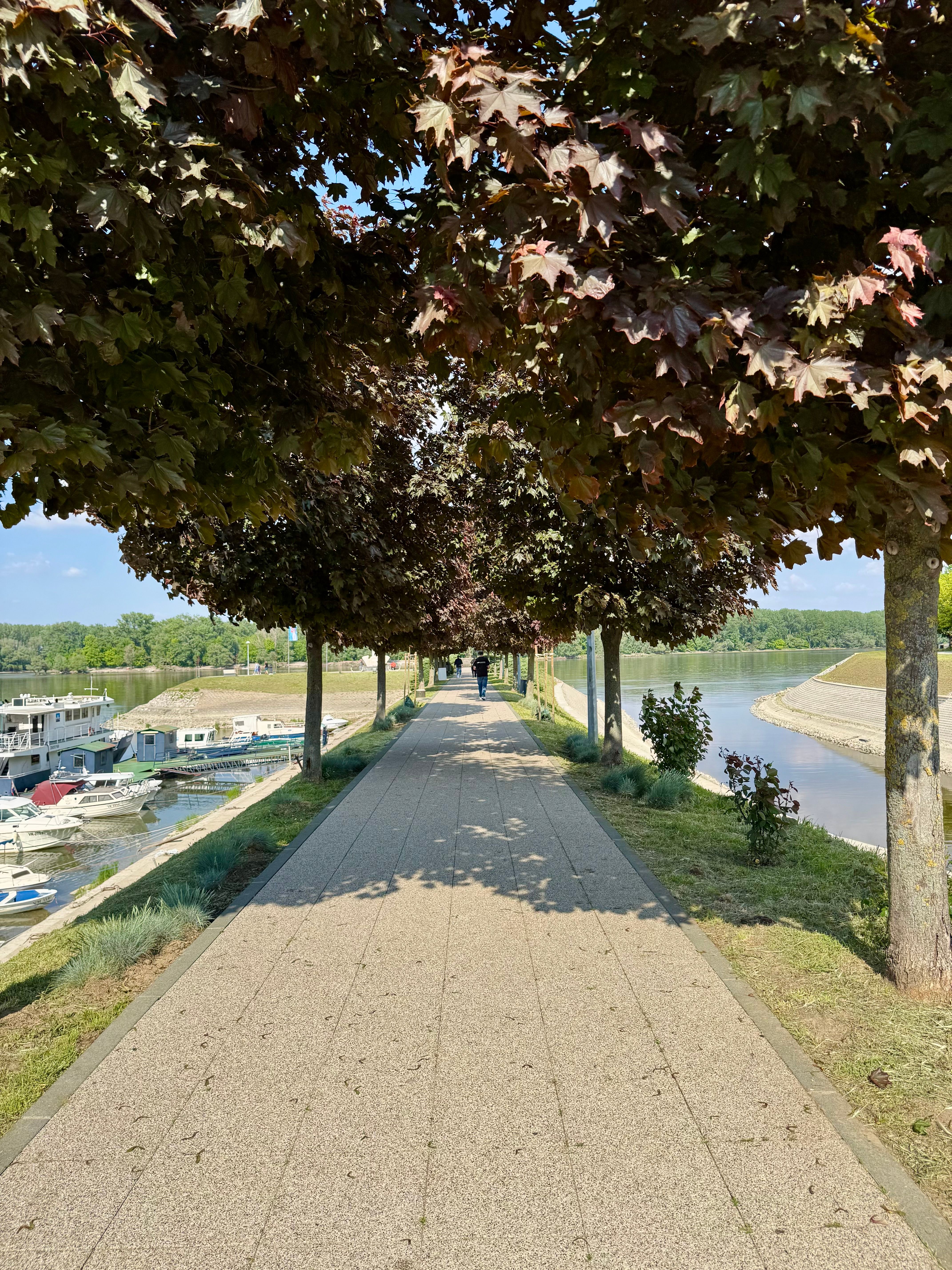 things to do in essex ct