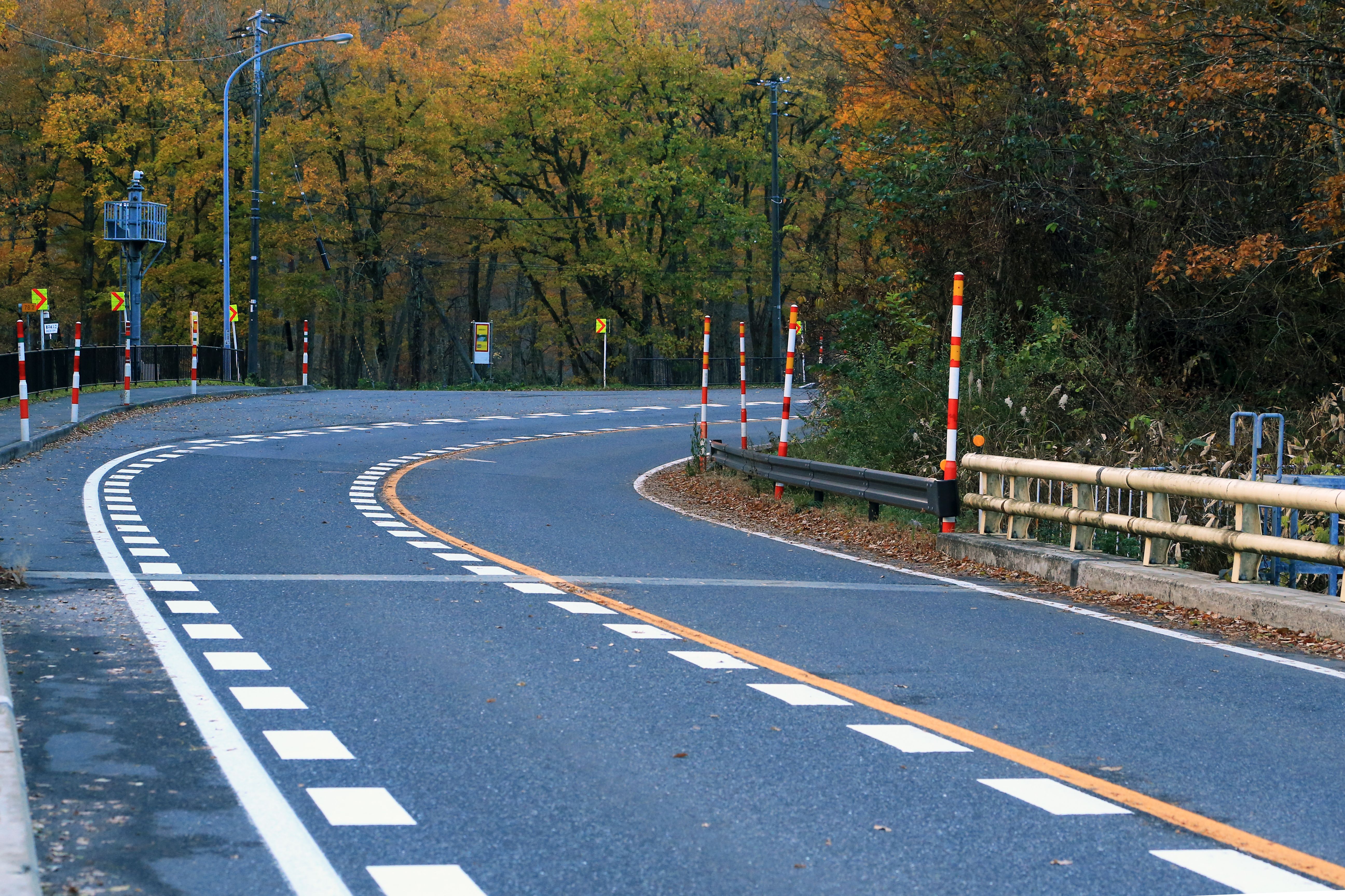 森の中を通る道路のイメージ写真