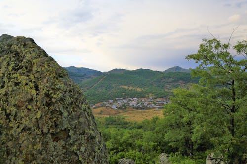 Ingyenes stockfotó bitki, ég, fák témában