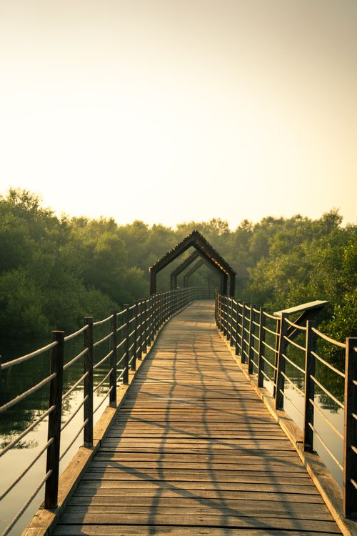 Free A picturesque wooden bridge over tranquil waters amidst lush greenery at sunrise. Stock Photo