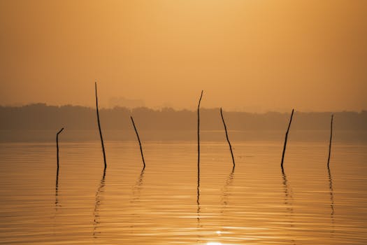 Serene sunset with reflections on calm water, creating a peaceful and minimalist scene.