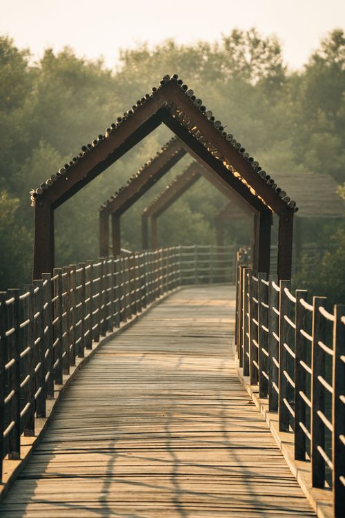 Free Wooden walkway with arches in a tranquil nature park, showcasing symmetry and natural light. Stock Photo