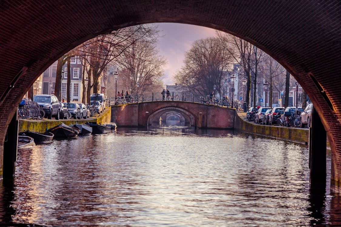 Brown Bridge Between Vehicles