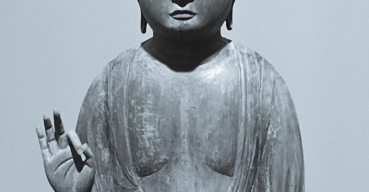 Free stock photo of buddha
