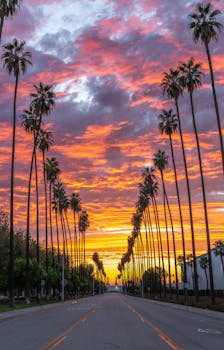 Stunning palm-lined street at sunset with vibrant clouds in Southern California.