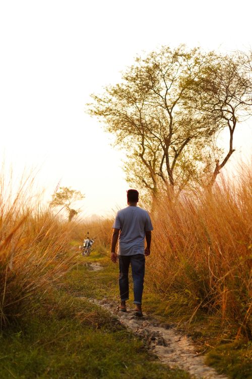 Free A man walks alone through a tranquil autumn field in Pabna, Bangladesh. Stock Photo