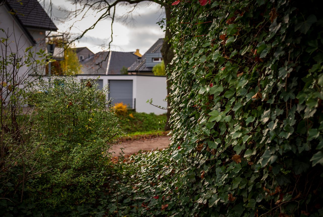House clearance Bedale — removals work in progress