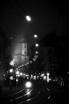Atmospheric black and white street view with decorative lights.