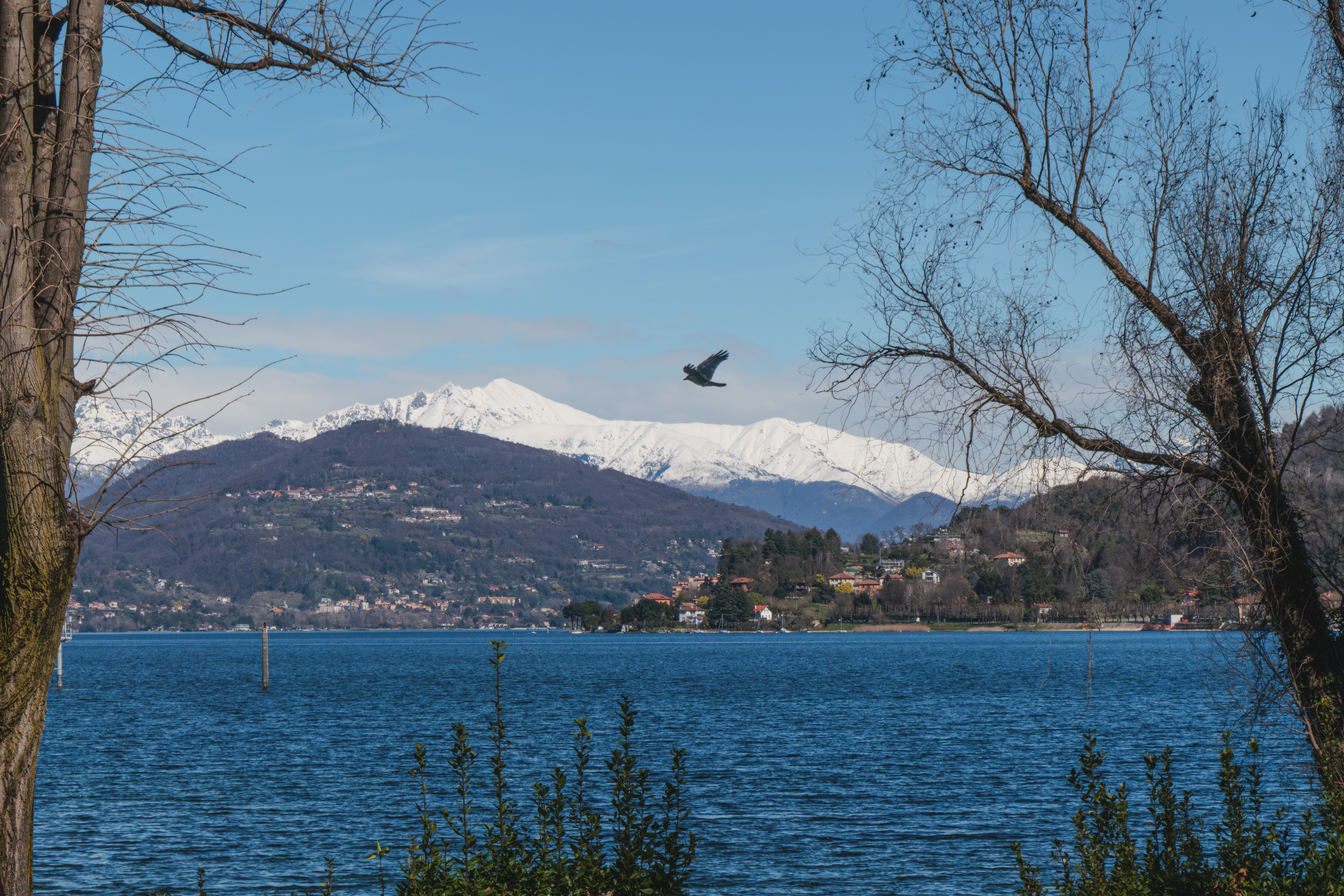 Scenic View of Snowy Mountains and Lake · Free Stock Photo