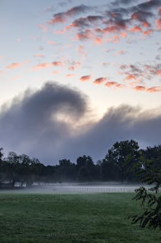 A serene mist-covered field at dawn with dramatic clouds in the sky.