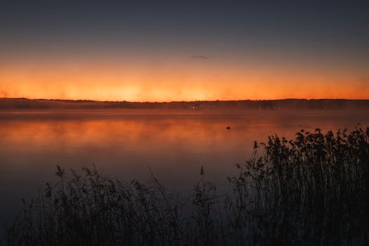 A beautiful sunset over a calm lake with silhouetted reeds and a colorful sky.