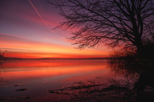 Serene sunset with vivid colors reflecting on a calm lake, framed by a silhouette of a tree.
