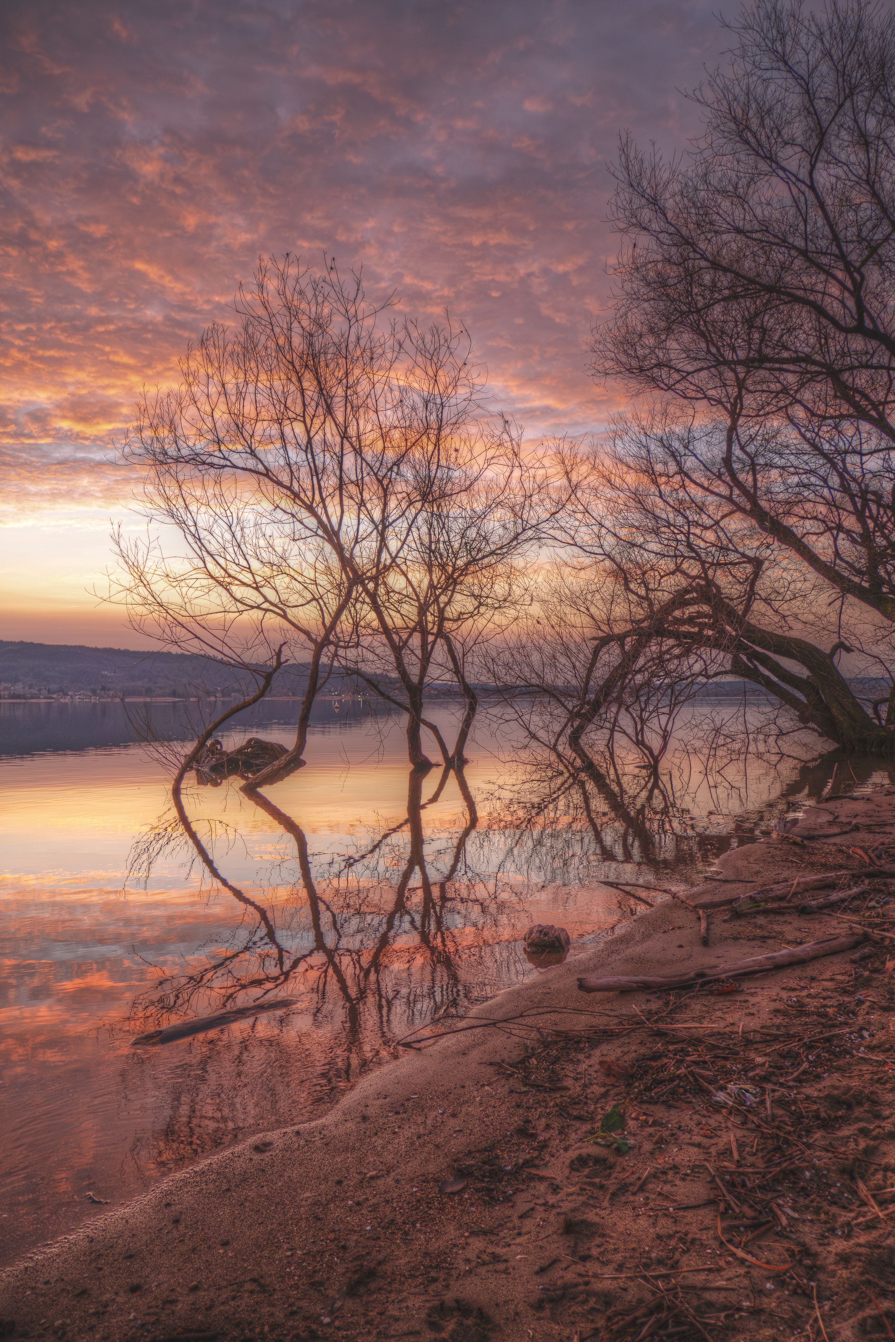 Serene Lake at Sunset with Reflective Trees · Free Stock Photo