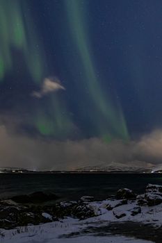 Enchanting Northern Lights illuminating a snowy coastal landscape under a starry night sky.