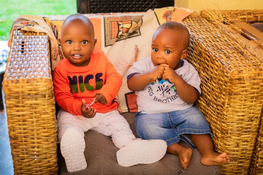 Two adorable toddlers enjoying a playful moment on a wicker chair indoors.