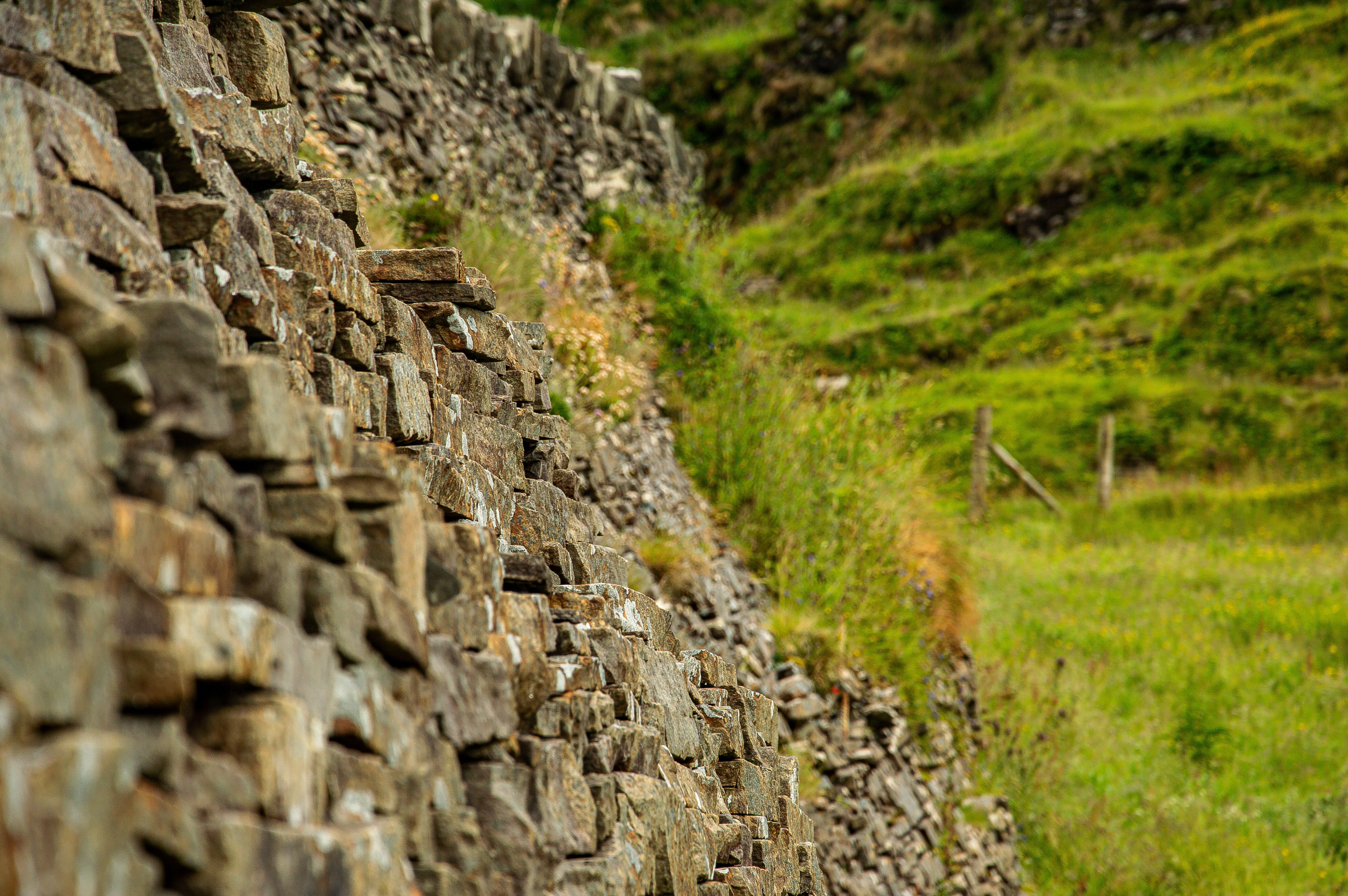Mur de soutènement en pierre sèche vu en enfilade, le long d'un pré en pente.