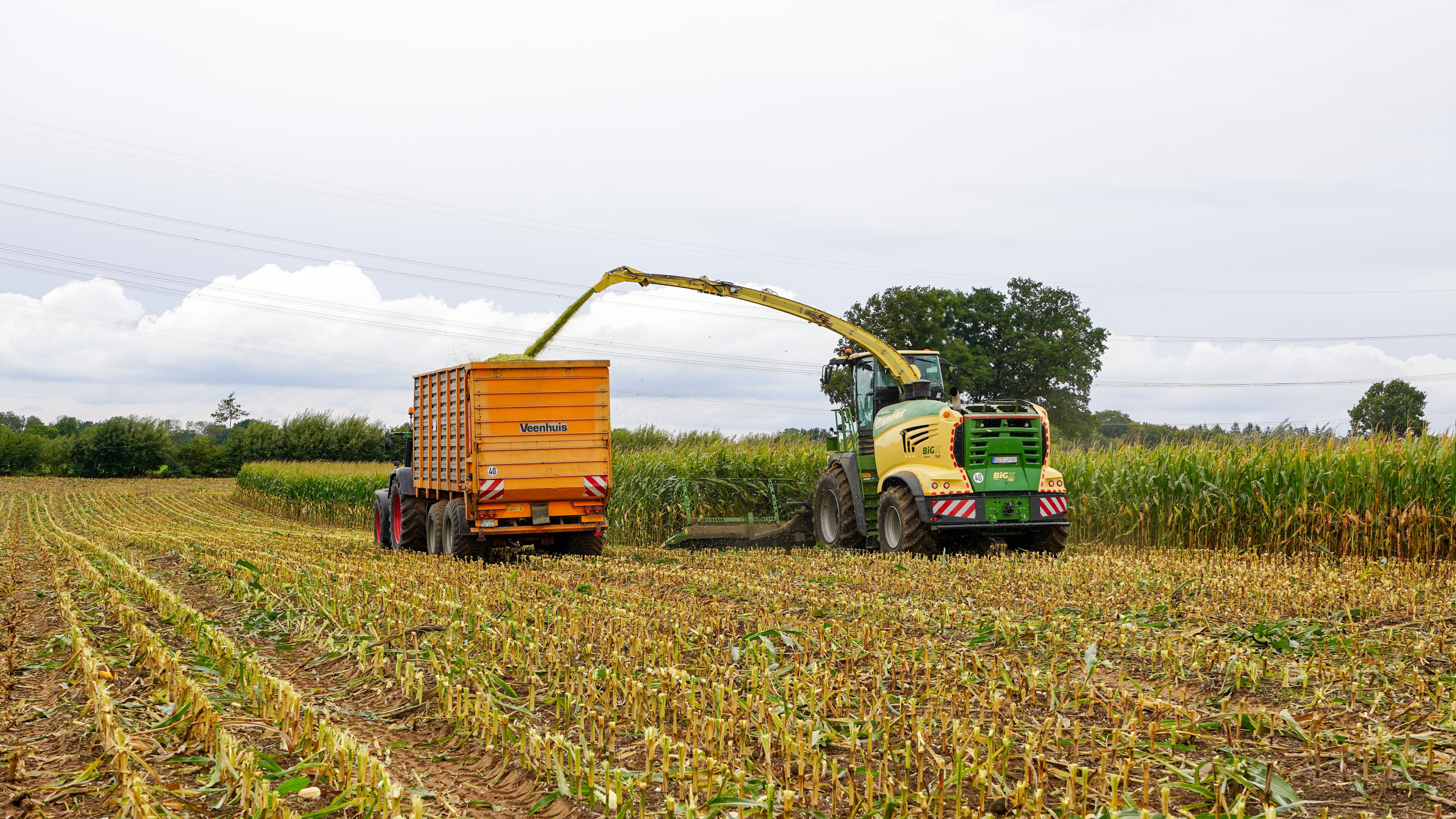 How environmental responsibility can improve financial performance