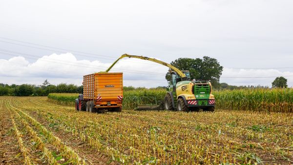 Exploitations agricoles professionnelles