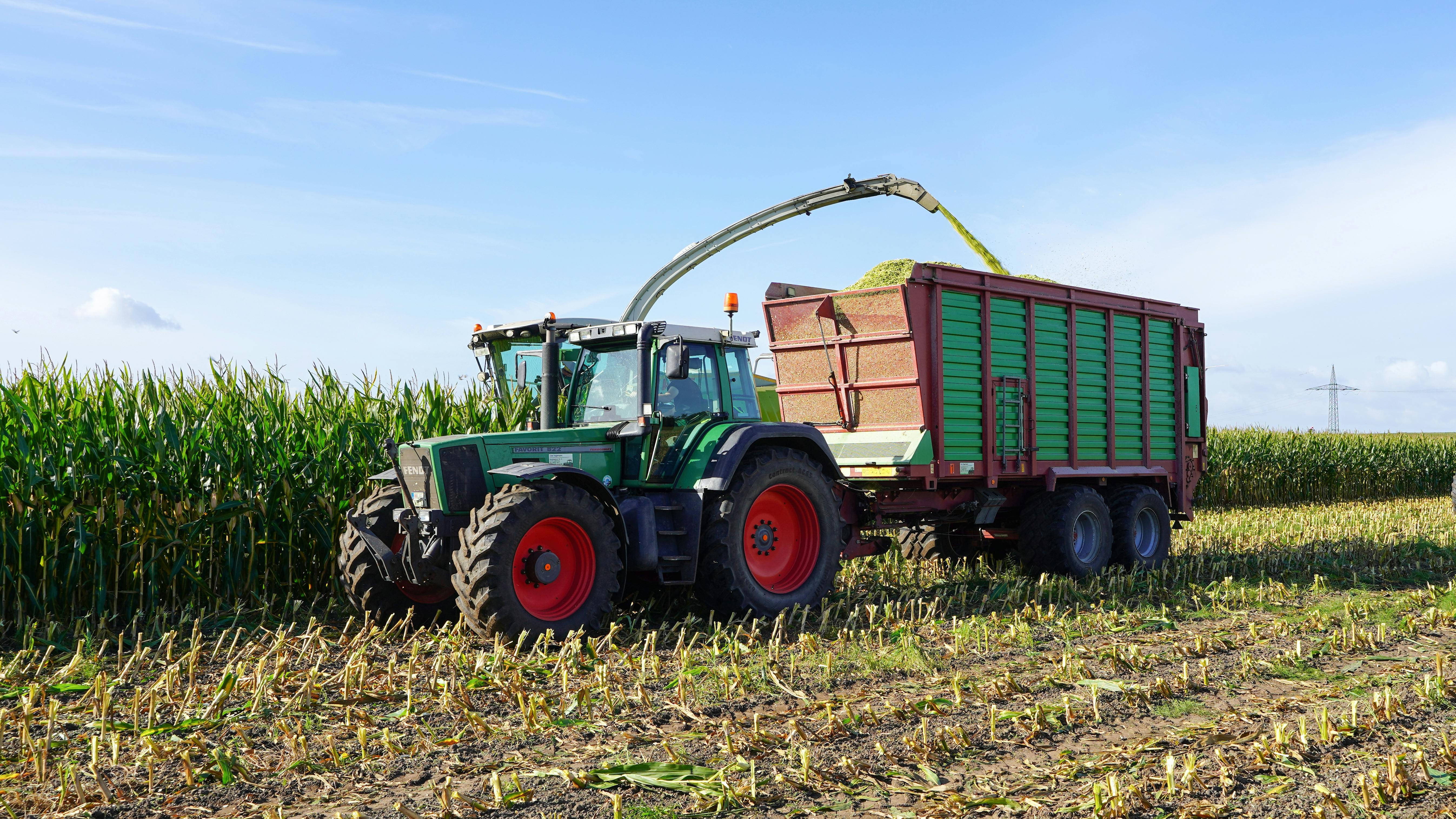 청주 미성년자 사건 변호사