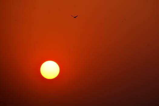 A stunning sunrise in Mumbai with a vivid sky and a solitary bird flying, capturing the beauty of dawn.