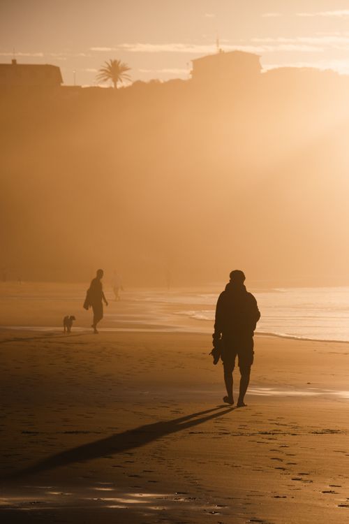 Free Silhouettes walking along a serene beach during sunset, casting long shadows. Stock Photo