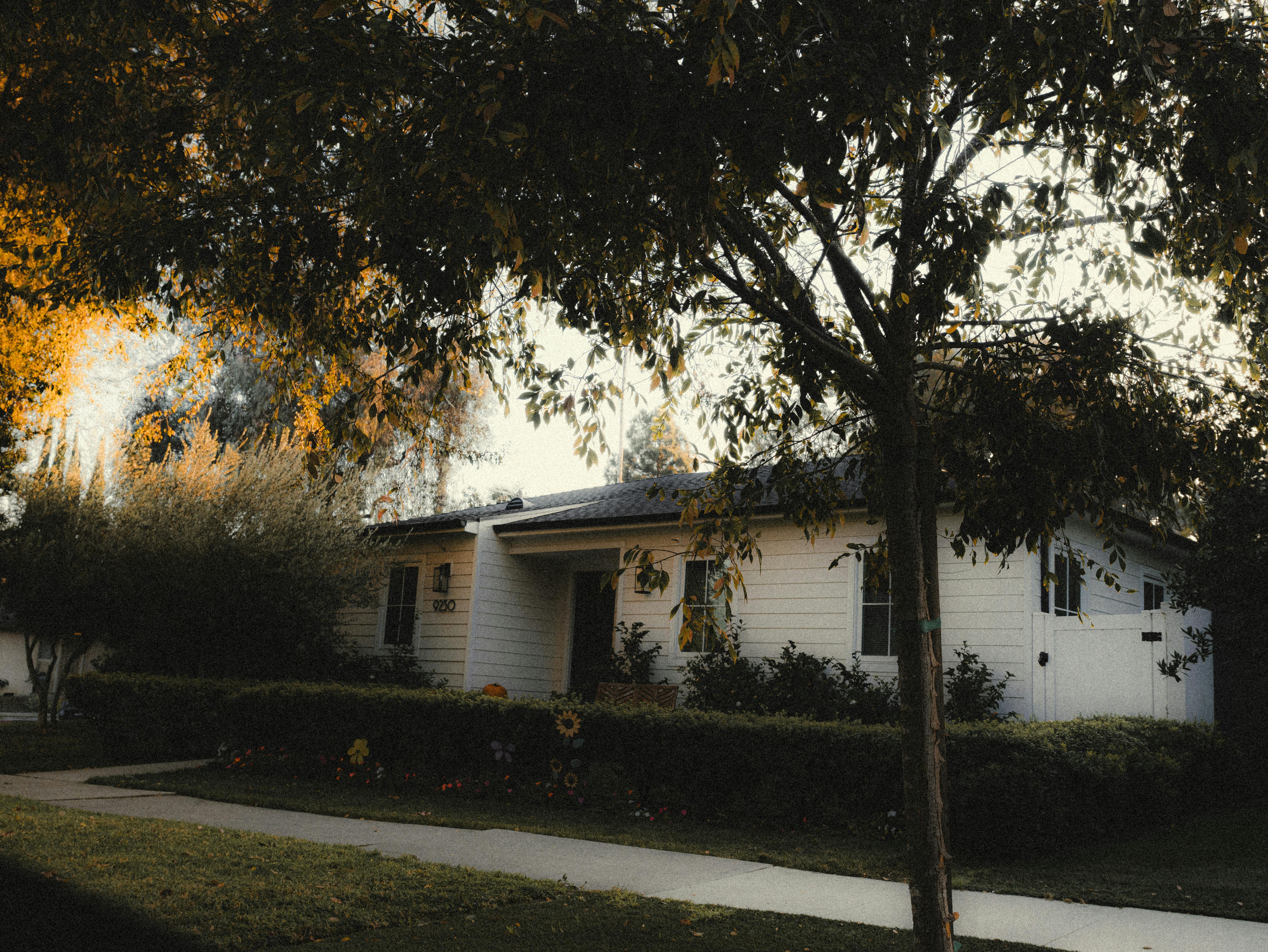 California insurers seek home insurance rate hikes under wildfire risk model — Photo by Eliezer Muller on Pexels
