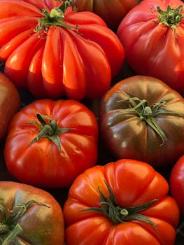 Close-up of vibrant heirloom tomatoes showcasing rich textures and colors.