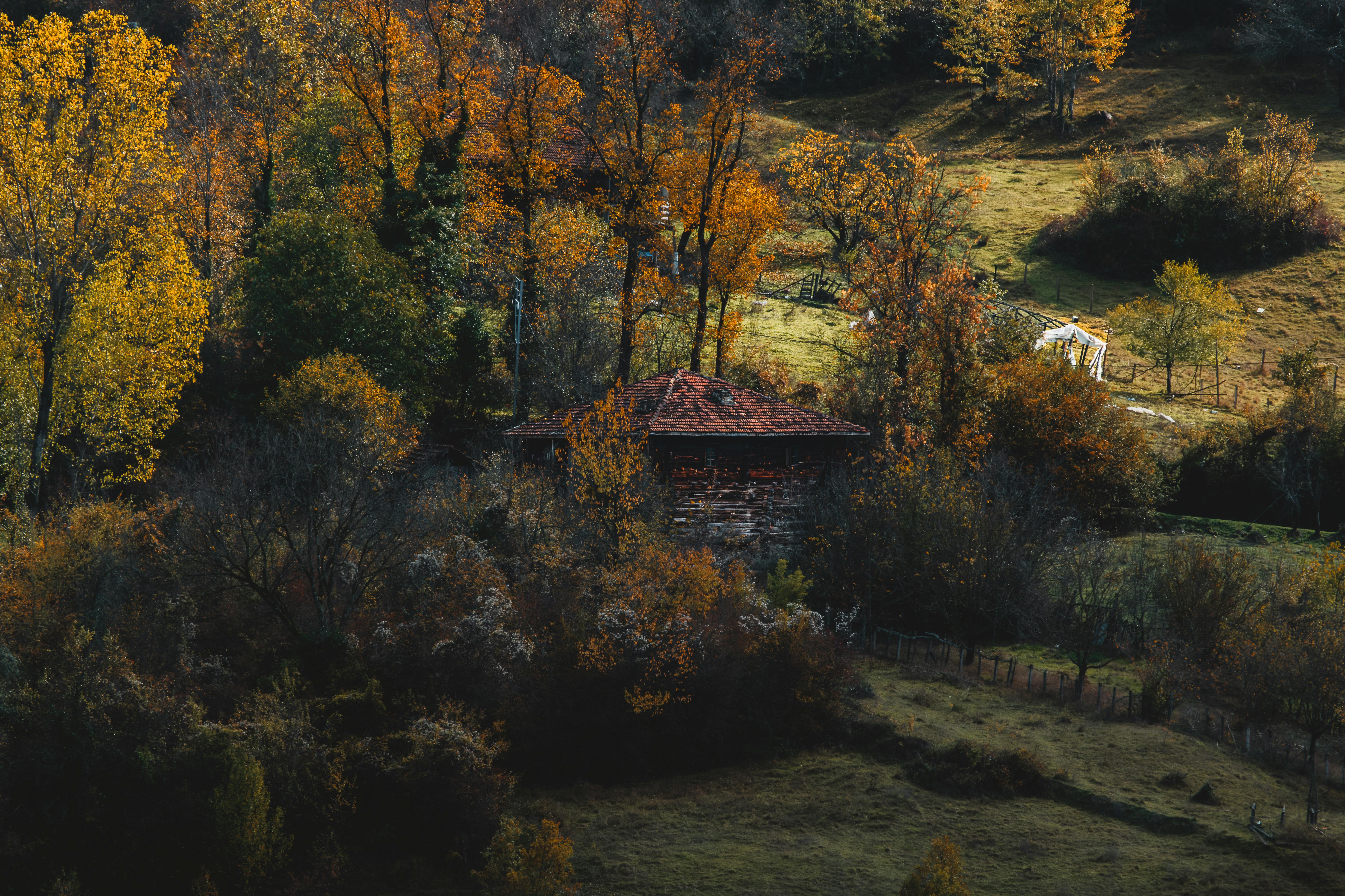 Paisagem de Ceará - İsa Kılavuzoğlu