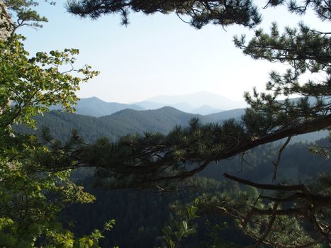 Peaceful mountain landscape framed by lush forest trees in summer.