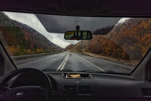 View through a car windshield on a rainy day, showcasing wet roads and autumn scenery.