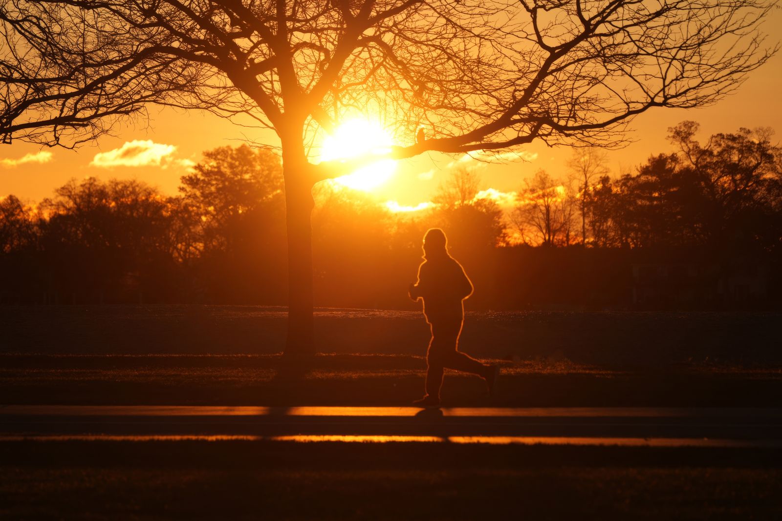Athlete in a calm, restorative outdoor setting