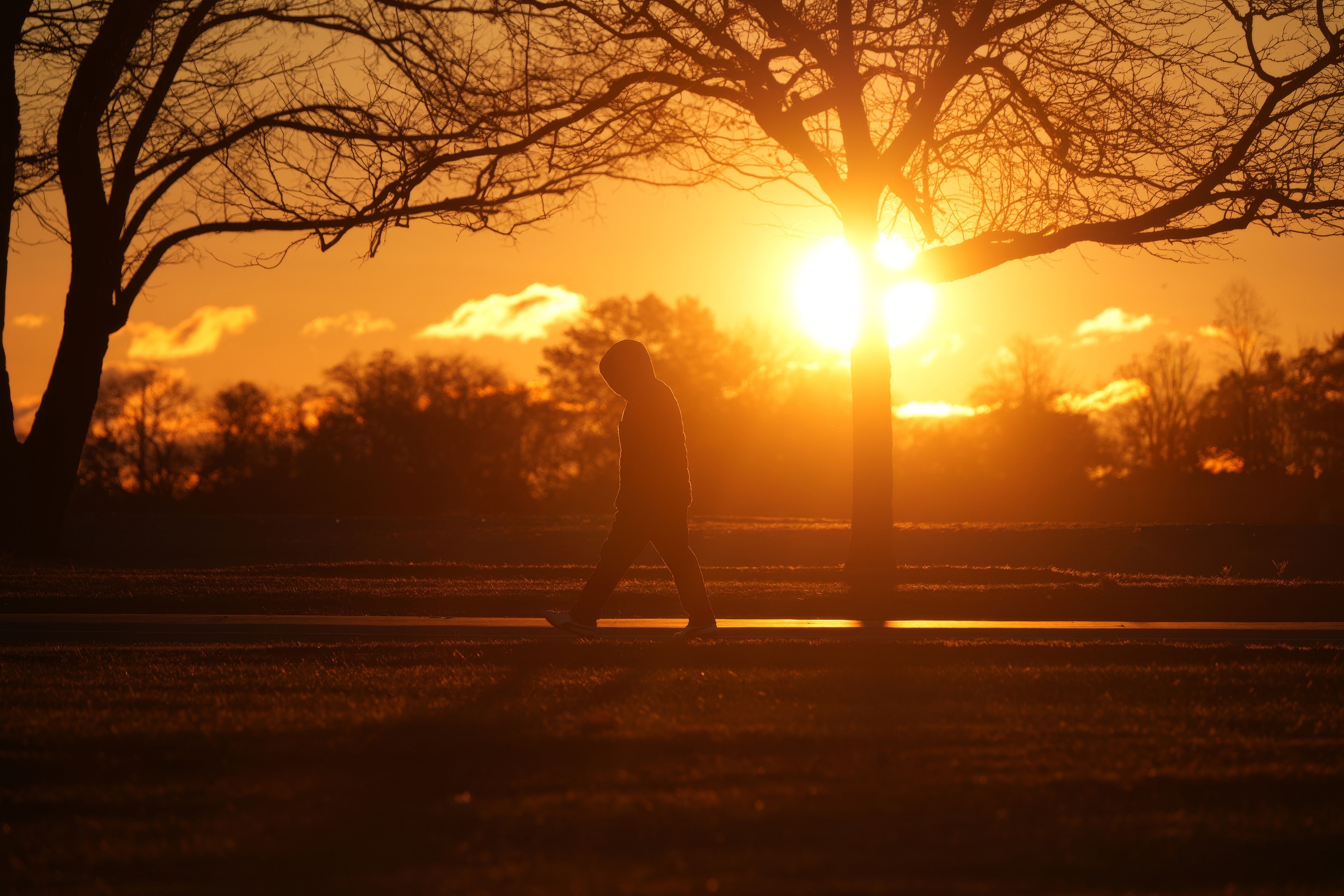 Silhouette of Person Walking at Sunset · Free Stock Photo